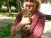 В Крыму пытались спасти кошку-каскадершу