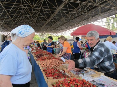 Рыночные прилавки ломятся от ранних фруктов и овощей. Их регулярно проверяют на наличие нитратов, на свежесть и соответствие органолептическим нормам. В лаборатории овощи и фрукты проверяют нитратометрами