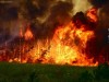 В Крыму снова ждут лесных пожаров