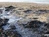 В Крыму ликвидировали загрязнение моря в районе Севастопольского порта