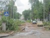 В Симферополе не знают, куда деть спиленные деревья с улицы Горького