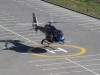 Янукович строит вертолетные площадки в Крыму для развития туризма