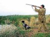 В пятницу в Украине откроют сезон охоты, но Крыму придется подождать