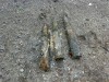 В Крыму нашли снаряды в речке