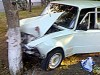 В Крыму женщина за рулем врезалась в дерево
