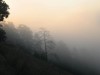 В Крыму на Ай-Петри грибник заблудился в тумане