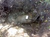 В Крыму на огороде откопали огромную бомбу