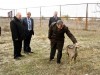 Сафари-парк в Белогорском районе Крыма откроют в следующем году