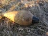 В Крыму боеприпасы валяются под ногами