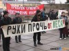 В Симферополе митинговали против вырубки леса