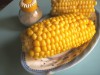 В Крыму начнут торговать вареной кукурузой как в Израиле