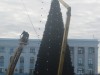 Елка в Симферополе - новая, высотой 18 метров