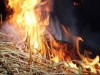 В Крыму сгорели тонны сена