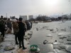 В Крыму будут охранять от падения в воду кормителей птиц