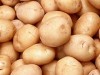 В Крыму испеклись сразу 4 тонны картошки