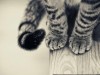 Поймали кота с грузом для заключенных