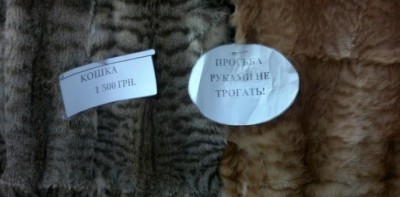 В Симферополе продолжают торговать шкурами котов