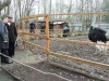 Спикер Крыма поглазел на уток и страуса (фото)