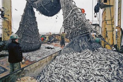 В Крыму гоняют рыбаков на набережных