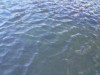 В Азовском море пропал рыбак