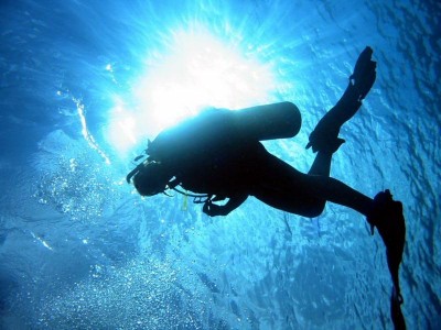 В Крыму появятся правила для дайверов В Крыму появятся правила для дайверов