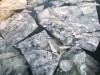 В Полтавской области 41 рыбака унесло на льдине