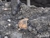 В Крыму откопали человеческие кости в центре города (фото)