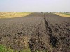 В Крыму у двух фирм забрали землю ценой в полмиллиарда