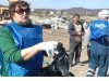 В Крыму мусор, разлетавшийся со свалки, отвезли обратно на ту же свалку