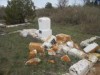 В Крыму подростки разгромили сельское кладбище (фото)
