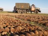 В крымском поле собрали невероятный урожай мин и снарядов (фото+видео)