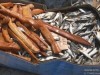 В Крыму в утиль выбросили 5 тонн рыбы (фото)