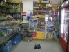 В Крыму девушки напали на магазин, ограбили и избили продавщицу