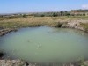 В Крыму пастухи воруют воду у горожан