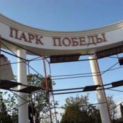 В Парке Победы в Севастополе гибнут деревья