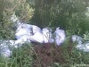 Пограничники в Житомире остановили две телеги с маком