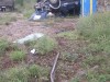 В Крыму авто врезалось в остановку, погиб человек (фото)