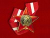 В Крыму таможенники не дали вывезти контрабандой орден Красной звезды (фото)