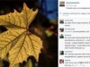 Медведева обвинили в плагиате