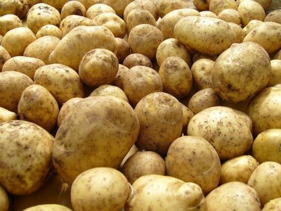СМИ создали ажиотаж на картошку