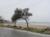 В Крыму снесли пляжное кафе (фото)
