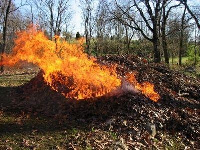 В Крыму запрещают сжигать листья