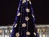 В Симферополе отказались от установки живой новогодней елки