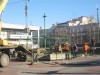 В Симферополе начали собирать главную елку Крыма (видео)