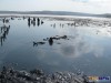 В Крыму решили построить канал от моря до лечебного озера
