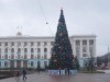 Новогодние елки Симферополя (фото)