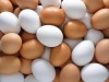 В Крым не разрешили провоз 252 000 куриных яиц