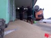 У Феодосии КамАЗ высыпал тонны зерна на магазин после ДТП (фото)