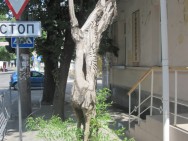 Деревянные скульптуры Симферополя