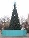 Праздничная елка от банка в Симферополе
